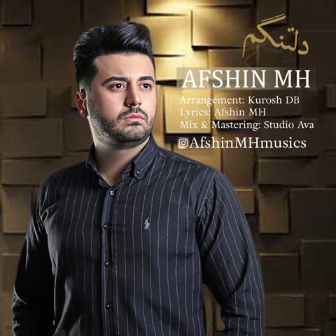 Afshin MH