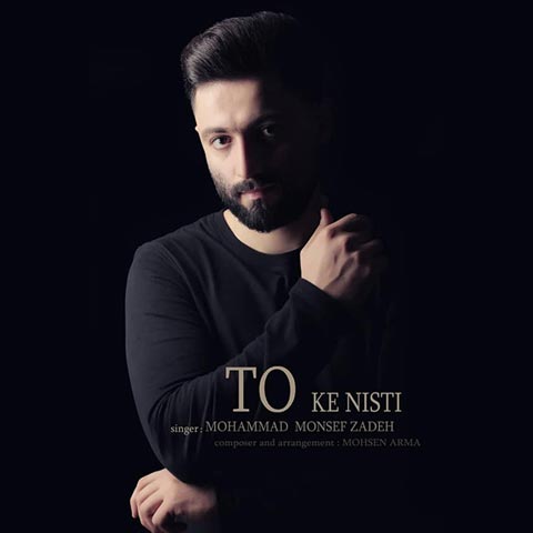 دانلود آهنگ محمد منصف زاده تو که نیستی