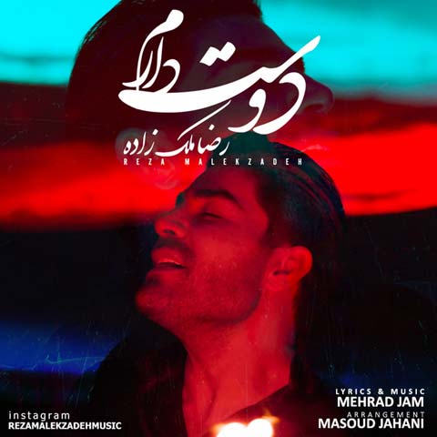 دانلود آهنگ رضا ملک زاده دوست دارم
