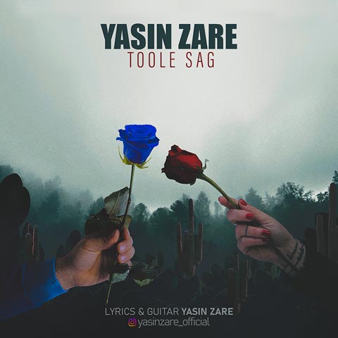 دانلود آهنگ یاسین زارع توله سگ