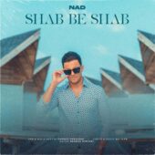 دانلود آهنگ ناد شب به شب